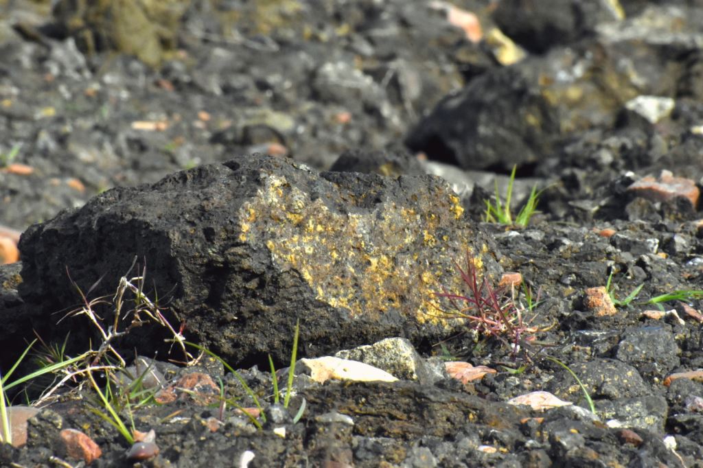 Lamproite breccia tuff